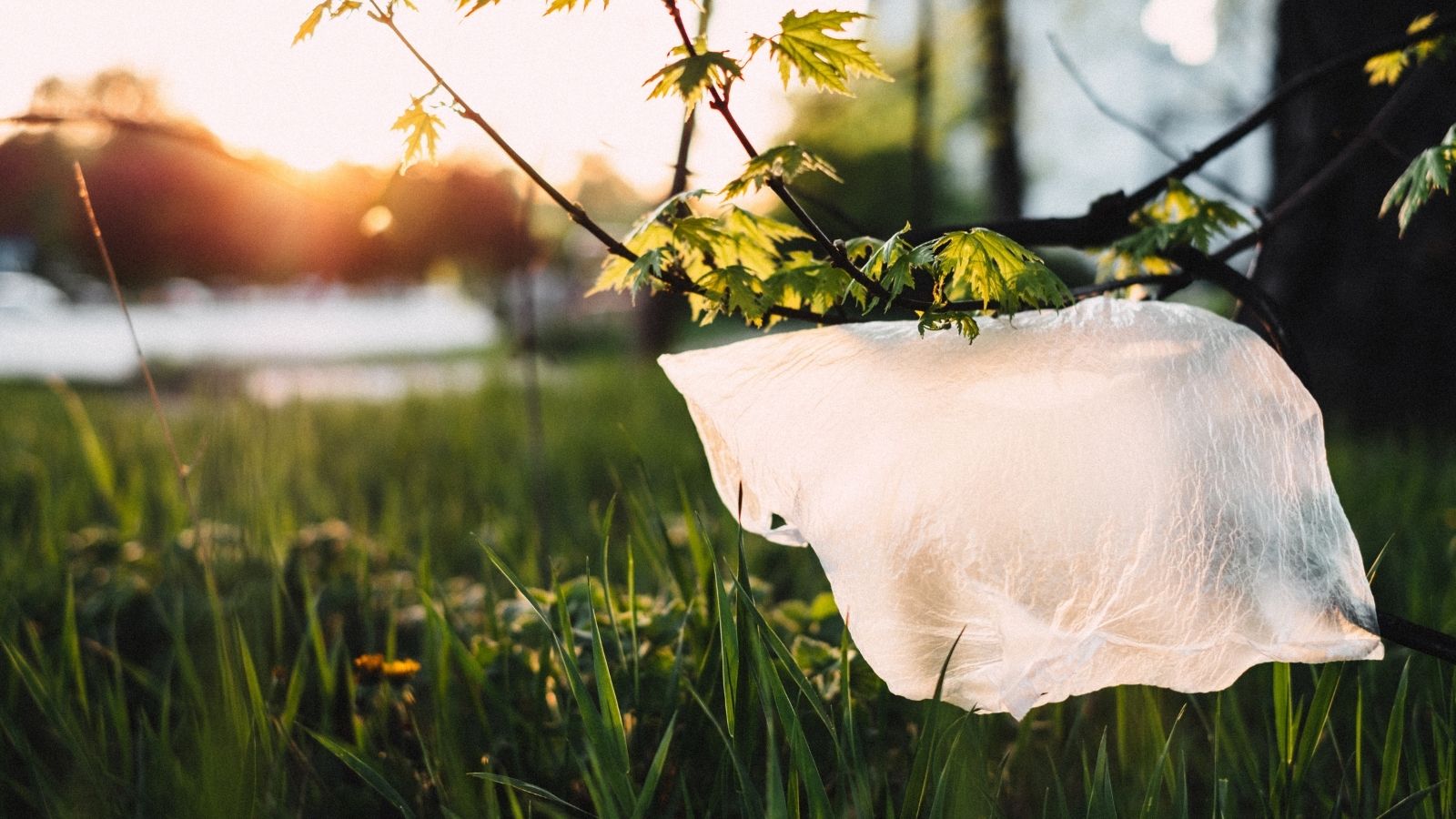 New Jersey considers banning plastic bags, straws, Styrofoam - WHYY